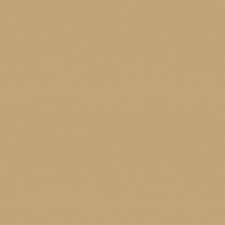 Tela Benartex (Superior Solids Basics) Toast-Color 72, Style 3000B